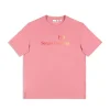 Gradiennte T-Shirt- Wild Rose